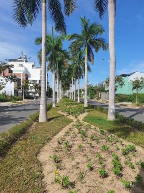 Bán đất đường Hàng Dừa B1.5 lô 55 - Hoà Xuân - Cẩm Lệ đường thông