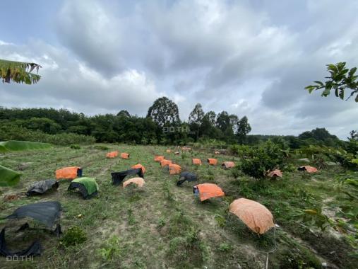 Chính chủ bán lô đất vườn siêu đẹp tại Tân Uyên, Bình Dương - giá đầu tư