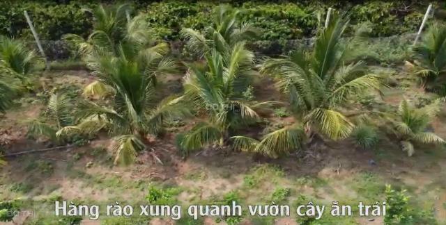 Cực hiếm chính chủ bán đất tại xã Diên Bình Huyện Đăk Tô Kon Tum