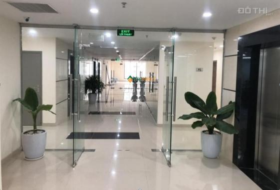 Khu Ngoại Giao Đoàn, Hà Nội chào thuê sàn văn phòng 100m2 200m2 giá rẻ