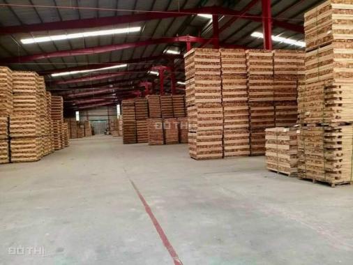 Bán xưởng 33000m2 tại Chánh Phú Hoà, Bến Cát, Bình Dương