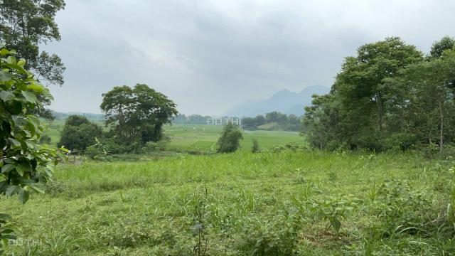 Bán 2000m2 đất ở + vườn tại Lạc Sơn, Hòa Bình giá chỉ 350k/m2. View cánh đồng đẹp không điểm chê