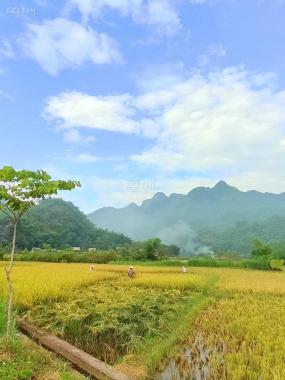 Bán cực gấp đất Lương Sơn, 3176m2 có 400m2 đất ở, cách trục chính liên huyện 50m, view cực thoáng