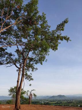 Cần bán đất núi Tazon vị trí có một không hai, đất núi hai mặt đường gần sân bay Phan Thiết