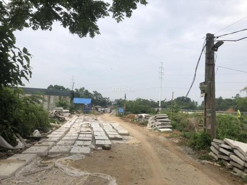 Bán đất tại xã Hạ Bằng, Thạch Thất, Hà Nội diện tích 196m2 giá 18.5 triệu/m2