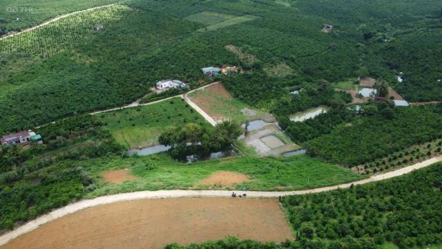Bán đất tại đường Nguyễn Văn Cừ, Xã Lộc Ngãi, Bảo Lâm, Lâm Đồng diện tích 163m2 giá 750 triệu