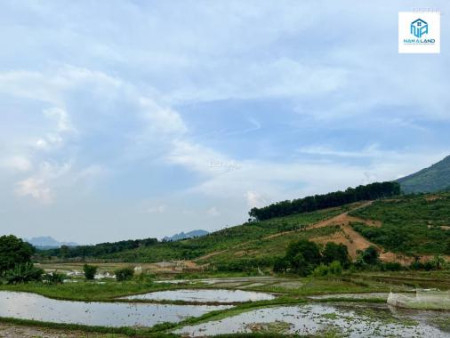 Chỉ 1,75 tỷ sở hữu ngay 578m2 đất tại Lương Sơn, Hòa Bình cạnh homestay đã đi vào hoạt động