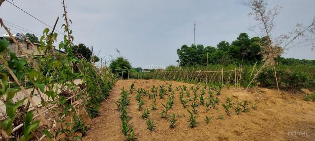 Lô đất vàng trong làng nghỉ dưỡng tại tiểu khu 14 Lương Sơn, Hoà Bình