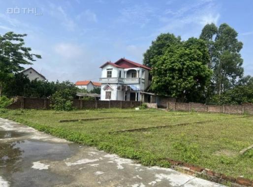 Bán đất tại đường 131, Xã Tiên Dược, Sóc Sơn, Hà Nội diện tích 100m2 giá 12 triệu/m2