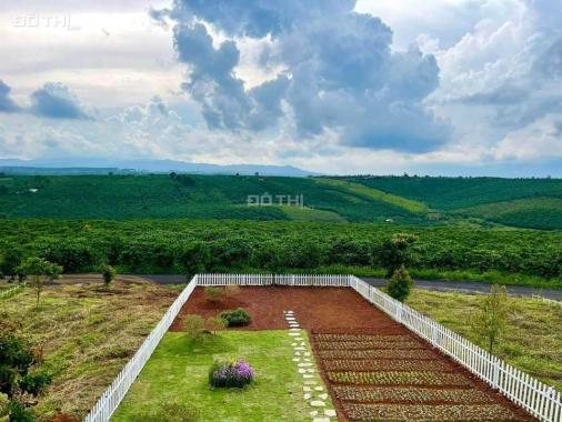 Bán đất vườn Đắk Nông từ 500 triệu/ sào 1000m2 sổ hồng riêng