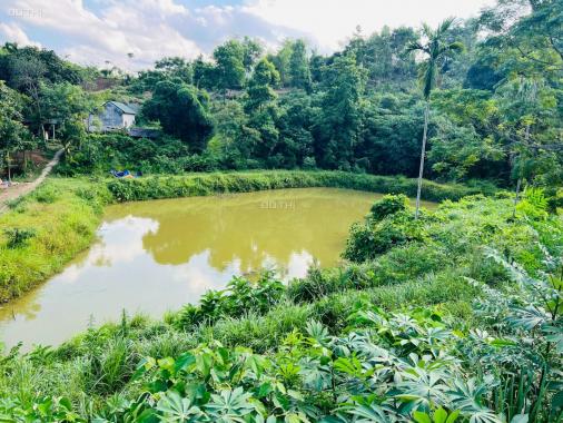Chính chủ bán 2800m2 đất có ao giá rẻ tại xã Hòa Sơn Huyện Lương Sơn, tỉnh Hòa Bình