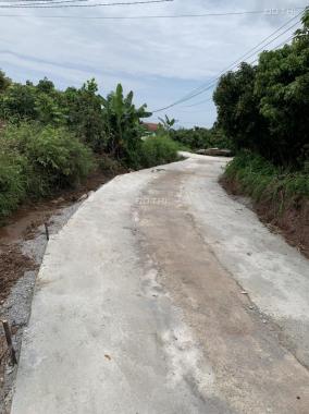 Chính chủ cần tiền bán nhanh lô đất tại Lục Ngạn, Bắc Giang