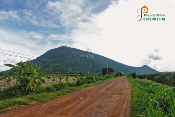 Tặng vườn cây ăn quả hơn 2000m2 cạnh núi Bà Đen tỉnh Tây Ninh