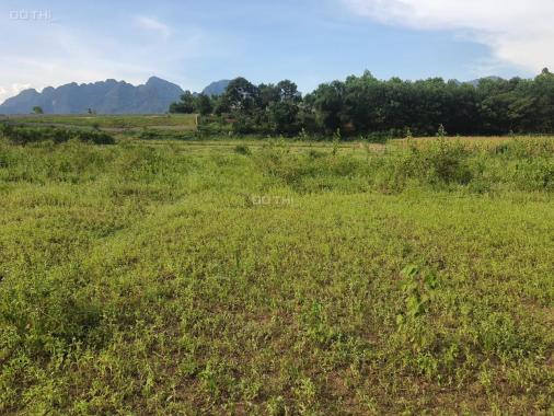 Cơ hội cho các NĐT sở hữu lô đất tại khu Camping Sông Bôi, Hòa Bình