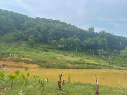 Nhanh thì còn view hồ đất thoải cỏ xanh mướt mát tại Yên Bài Ba Vì, L/H: 0974715503
