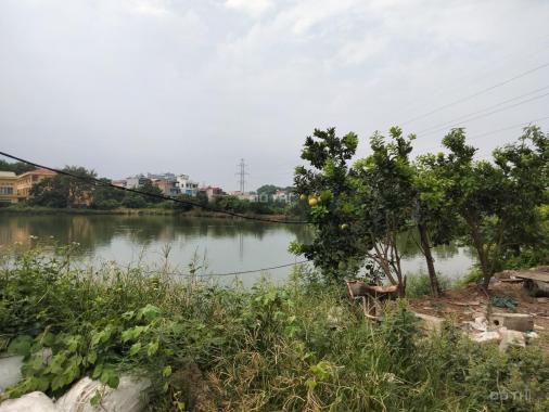 Cần chuyển nhượng trang trại 3ha đất tại Thanh Trì Hà Nội