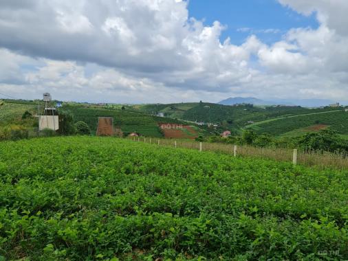 Bán đất view đồi nghỉ dưỡng 1709m2, đường Tôn Thất Thuyết, Đam Bri, Tp. Bảo Lộc. Chỉ 2tr/m2