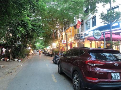 Ô tô vào nhà, khu vực kinh doanh sầm uất, sổ đỏ nở hậu, Hồng Mai, Hai Bà Trưng, 50m2
