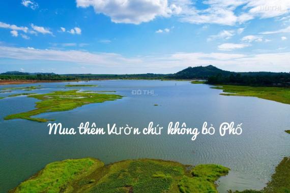 Bán 6 lô đất Hàng Gòn, diện tích 1000m2 sổ sẵn, ngay khu dân cư đông đúc