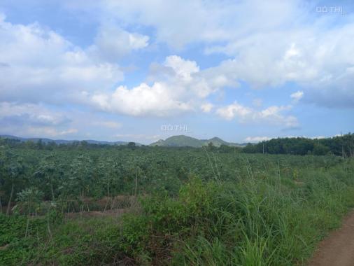 Bán 3.7 ha đất Tân Phúc, Hàm Tân chưa qua đầu tư, 300m ngang