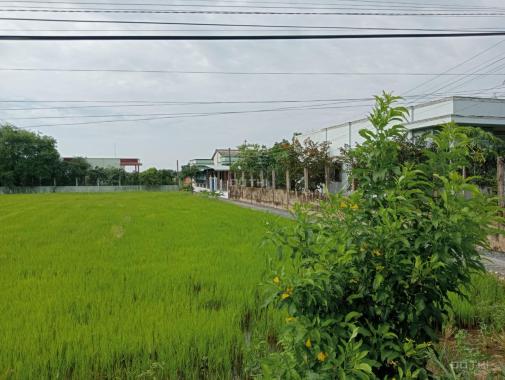 Bán đất tại đường ĐT 833D, Xã Mỹ Bình, Tân Trụ, Long An diện tích 1655m2 giá 7,5 tỷ