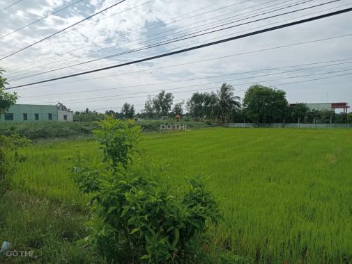 Bán đất tại đường ĐT 833D, Xã Mỹ Bình, Tân Trụ, Long An diện tích 1655m2 giá 7,5 tỷ