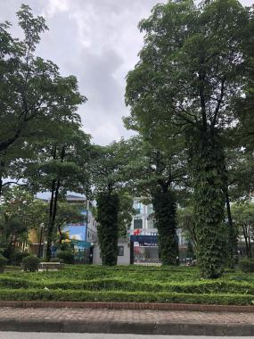 Bán nhà riêng tại đường Nguyễn Cảnh Dị, Phường Đại Kim, Hoàng Mai, Hà Nội diện tích 60m2