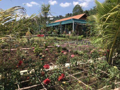Bán 1 sào đất vườn phủ hồng, view đồi tại TP. Long Khánh - gần ngã 3 Xuân Tân