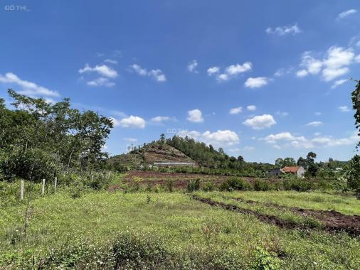 Bán 1 sào đất vườn phủ hồng, view đồi tại TP. Long Khánh - gần ngã 3 Xuân Tân