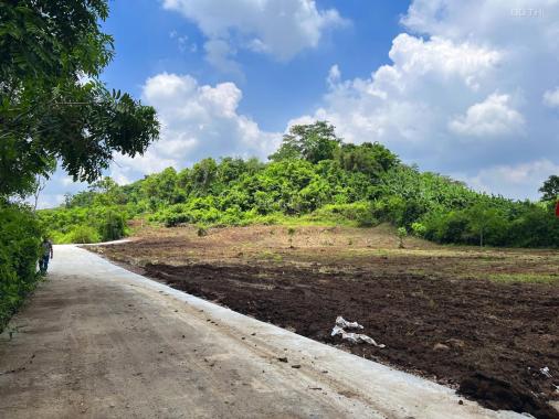 Bán lô đất vườn đã phủ hồng 100% gần ngã 3 Tân Phong - TP Long Khánh