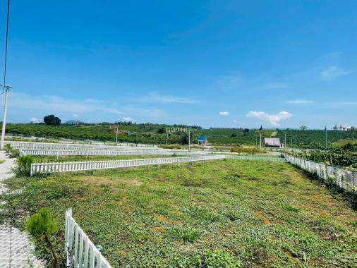 Bán đất thổ cư biệt thự giá tốt gần cao tốc DG - LK thành phố Bảo Lộc