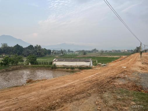 Vị trí đắc địa gần khu nghỉ dưỡng DT 512,4m2 tại Thanh Sơn Phú Thọ