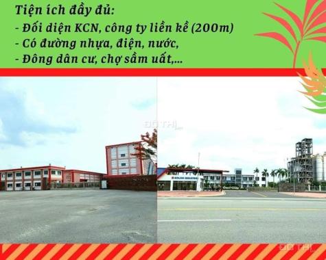Bán đất TDC Bàu Bàng - Bình Dương giá 1.37 tỷ