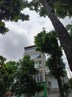 Mặt phố Phan Chu Trinh - Lò Đúc 60m2 x 7 tầng, MT 7m, lô góc 3 thoáng không có căn thứ 2