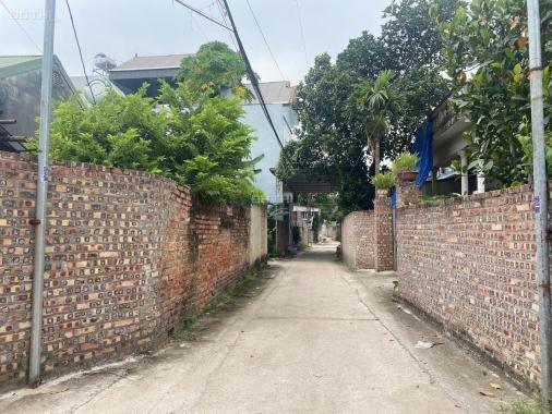 Bán đất tại đường 131, Xã Tiên Dược, Sóc Sơn, Hà Nội diện tích 72m2 giá 2 tỷ