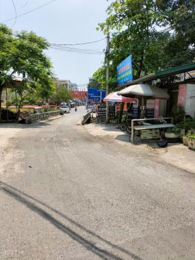 Cắt lỗ 56m2 tại xã Tam Hưng, cách Vành Đai 4 chỉ 1km, ô tô đỗ cửa, giá chỉ 1.4 tỷ