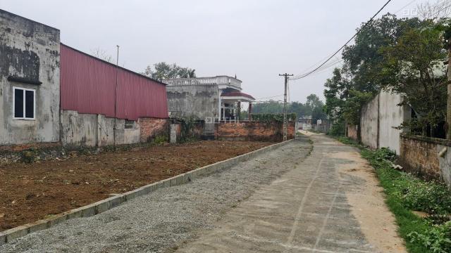 Bán đất Nhuận Trạch Lương Sơn Hoà Bình 211,6m2/100 m2 gần KCN Nhuận Trạch giá 10 tr/m2