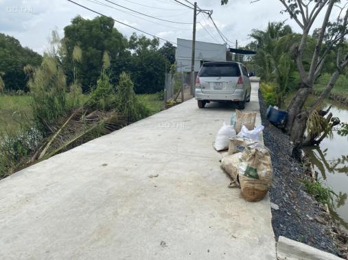 Đất trồng cây lâu năm xã Tân Kiên, huyện Bình Chánh, TP Hồ Chí Minh