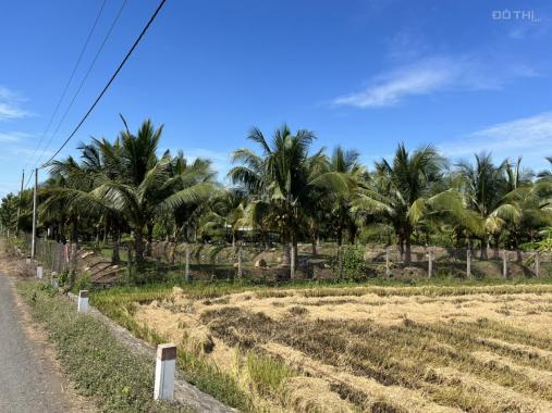 Bán nhà vườn sinh thái yên tĩnh - xanh mát