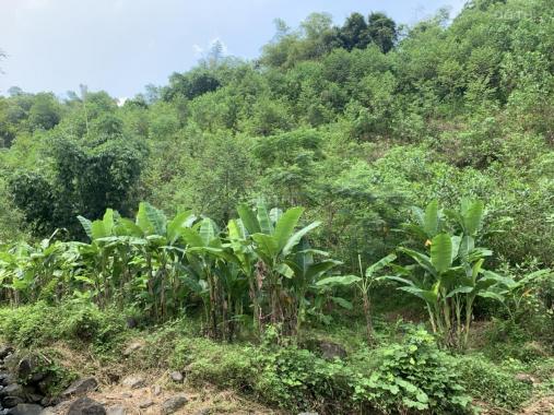 Hơn 300tr sở hữu ngay lô đất gần Cửu thác Tú Sơn - Kim Bôi
