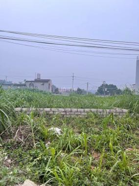 Hơn 2 tỷ sở hữu ngay lô đất mặt đường TL416, nằm gần chợ và TT hành chính xã Kim Sơn Sơn Tây