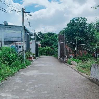 Đất nhánh Huỳnh Thị Hiếu phường Tân An TP Thủ Dầu Một Bình Dương