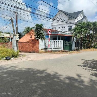 Đất nhánh Huỳnh Thị Hiếu phường Tân An TP Thủ Dầu Một Bình Dương