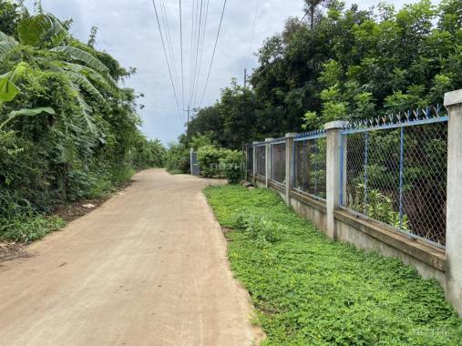 1 sào cây ăn trái - 27m mặt tiền - cách nhựa 300m - Bảo Quang - TP Long Khánh