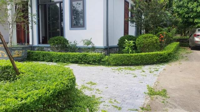 Cần bán nhà vườn - hộ gia đình - kinh doanh tại Yên Bài Ba Vì diện tích 1100m2 xóm Hà Nội