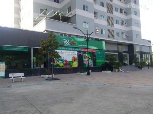 Cần bán căn hộ Thái Sơn (Tân Tạo 1), 2PN, 79m2, sổ hồng, ngân hàng cho vay 70%