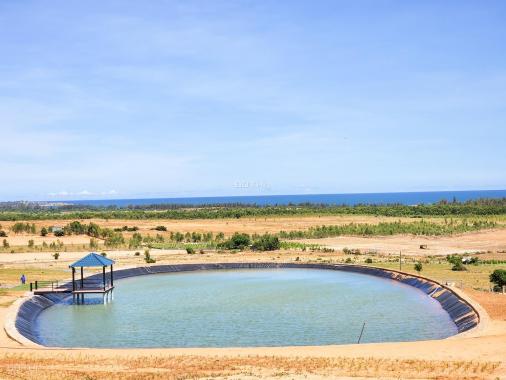 Đất đồi view biển, có sổ, giá chỉ từ 500 nghìn/m2 tại Nam Á Farmstay