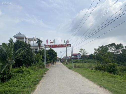 Bán đất tại Xã Tân Minh, Sóc Sơn, Hà Nội diện tích 534m2 giá 12.5 triệu/m2