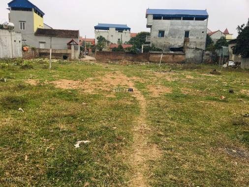 Cần bán lô 2 MT 113m2 tại Tân Dân, Sóc Sơn cạnh khu CN sạch 1,3 tỷ