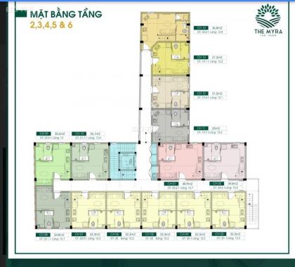 Dự án căn hộ mini - duplex The Myra Tân Hưng Quận 7